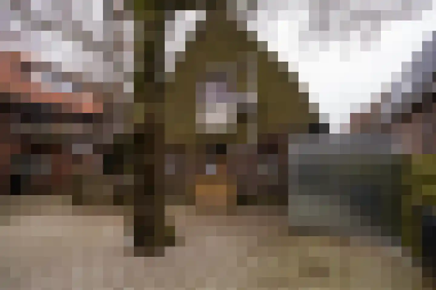 Woestijgerweg 137 Amersfoort thumbnail 34