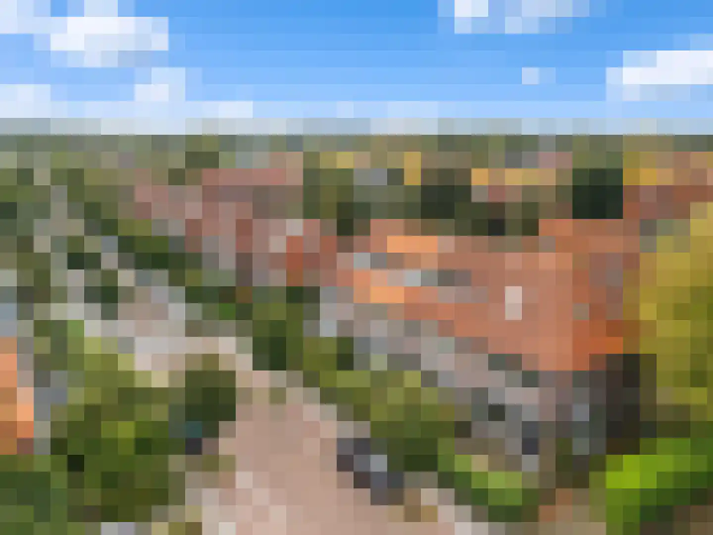 Woestijgerweg 141 Amersfoort thumbnail 43