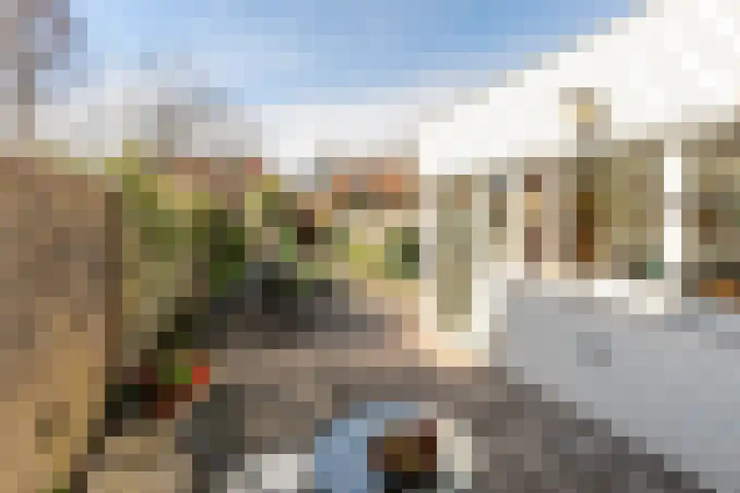 Woestijgerweg 155 Amersfoort thumbnail 22