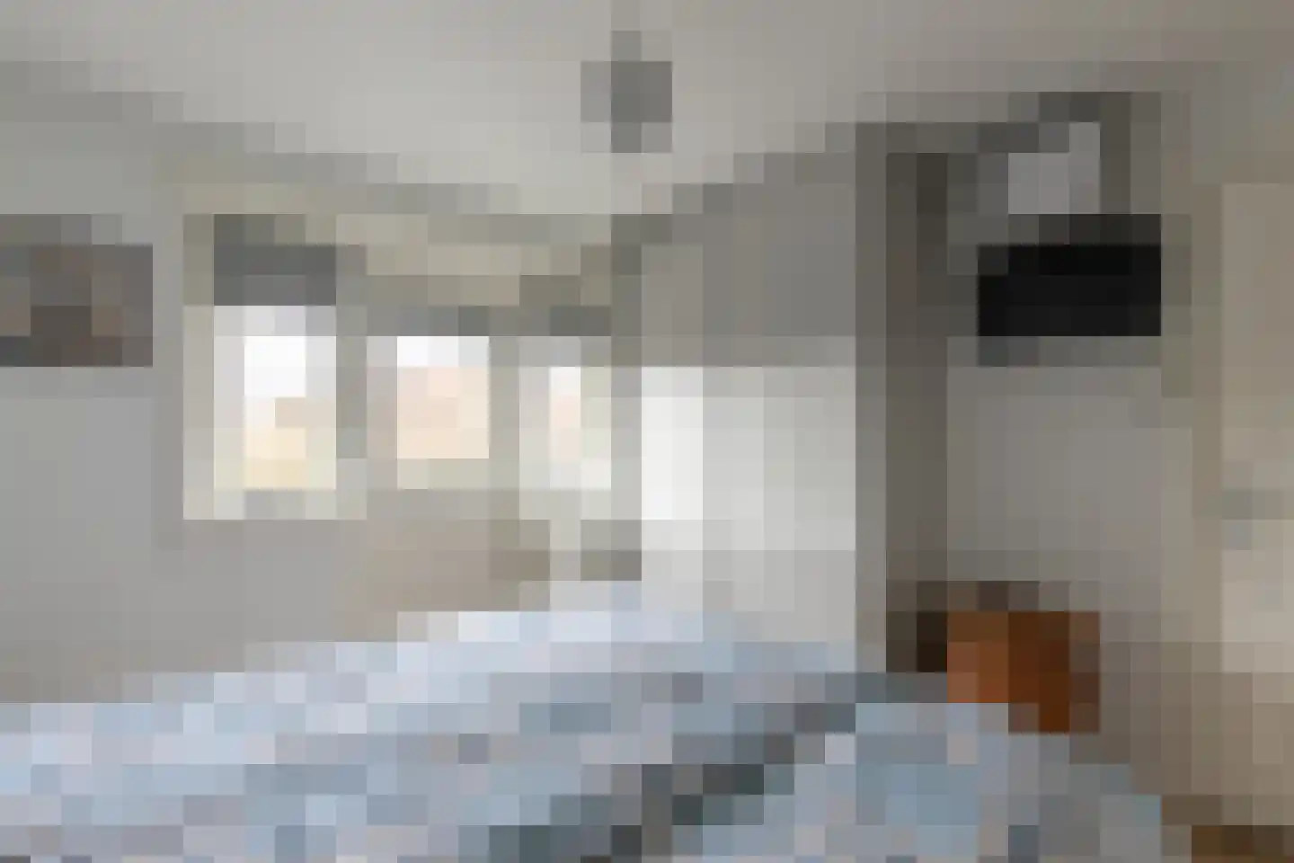 Woestijgerweg 155 Amersfoort thumbnail 34