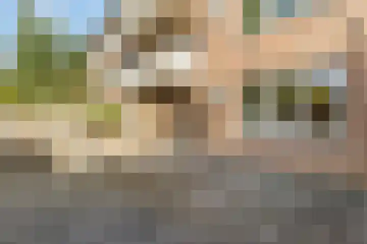 Woestijgerweg 203 A Amersfoort thumbnail 32