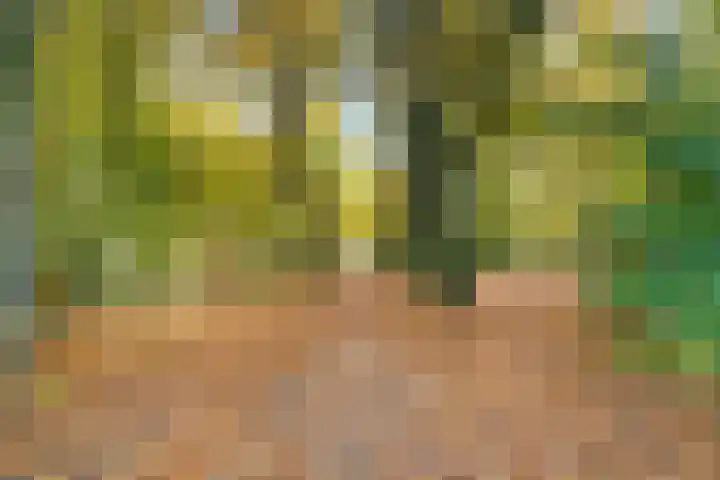 Woestijgerweg 203 A Amersfoort thumbnail 33