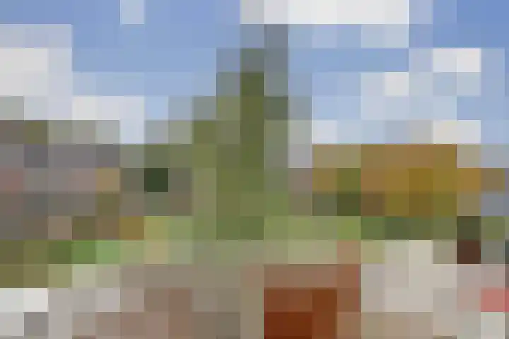 Woestijgerweg 203 C Amersfoort thumbnail 23