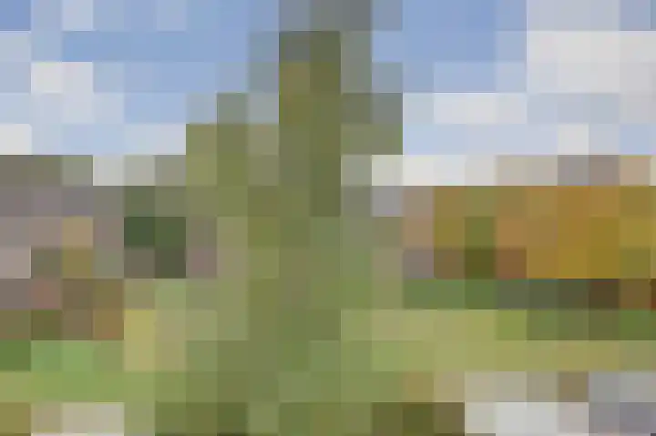 Woestijgerweg 203 C Amersfoort thumbnail 24