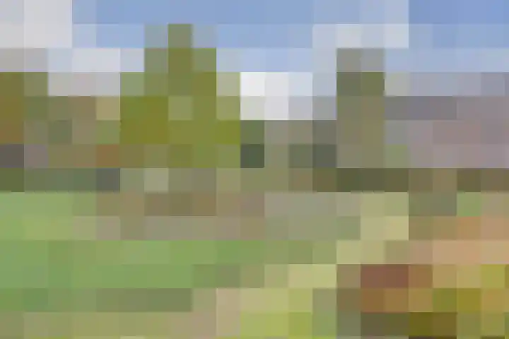 Woestijgerweg 203 C Amersfoort thumbnail 29