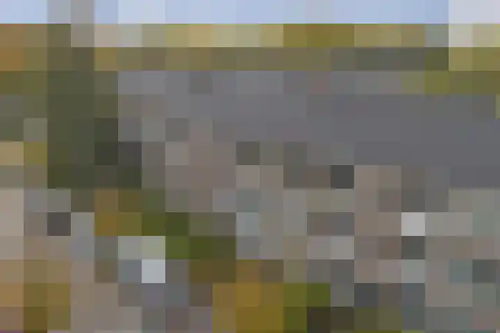 Woestijgerweg 203 C Amersfoort thumbnail 31