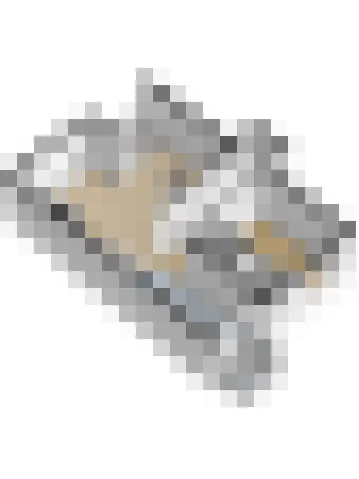 Woestijgerweg 203 C Amersfoort thumbnail 39