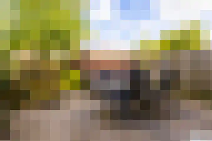 Woestijgerweg 210 A Amersfoort thumbnail 18