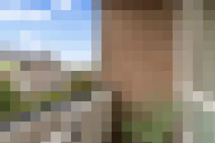 Woestijgerweg 212 C Amersfoort thumbnail 36