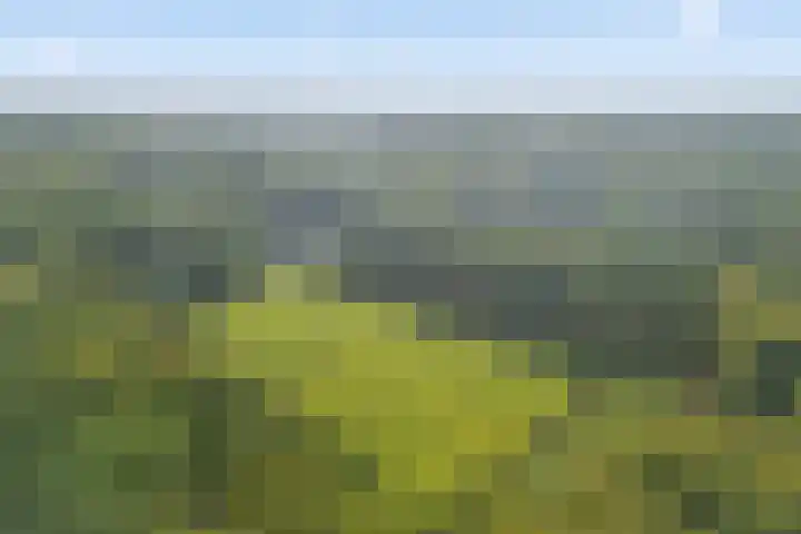 Woestijgerweg 212 C Amersfoort thumbnail 4