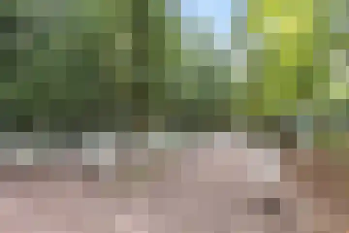 Woestijgerweg 212 C Amersfoort thumbnail 51