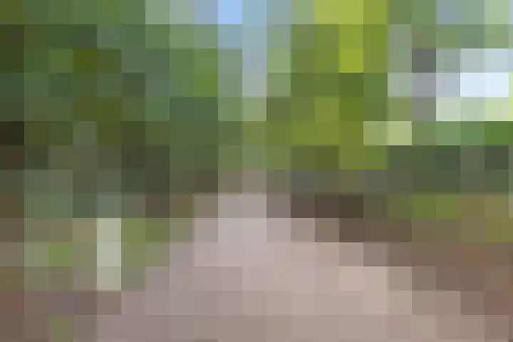 Woestijgerweg 212 C Amersfoort thumbnail 52