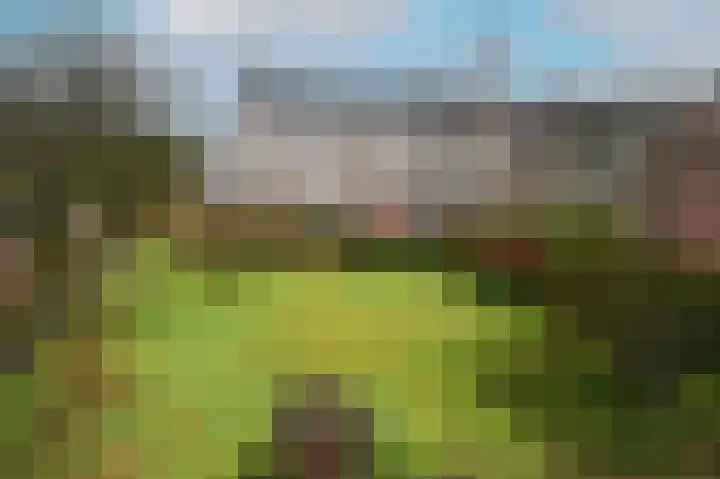 Woestijgerweg 220 C Amersfoort thumbnail 23