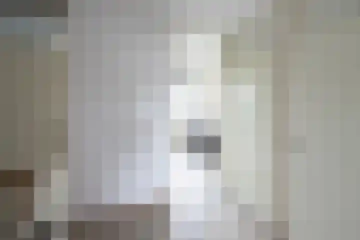 Woestijnenweg 9 Zwolle thumbnail 19