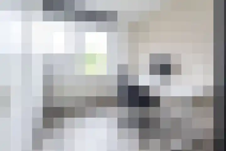 Woestijnenweg 9 Zwolle thumbnail 20