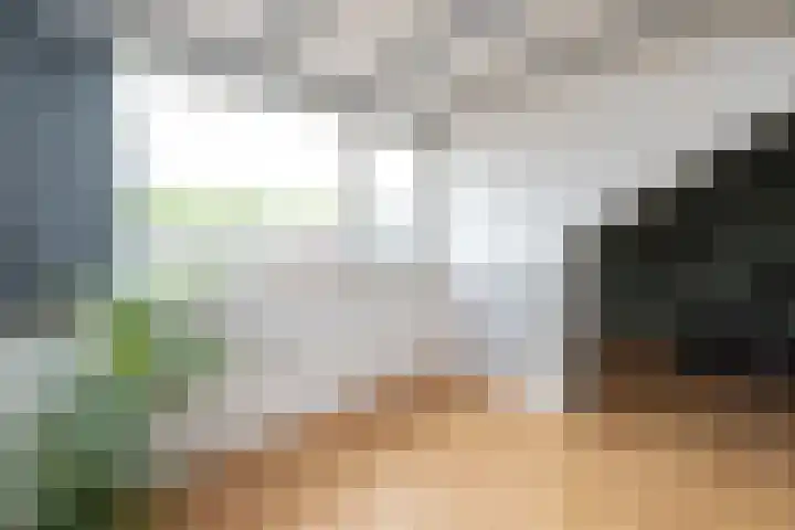 Woestijnenweg 9 Zwolle thumbnail 25