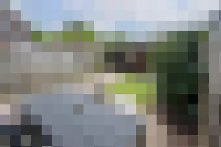 Woestijnenweg 9 Zwolle thumbnail 30