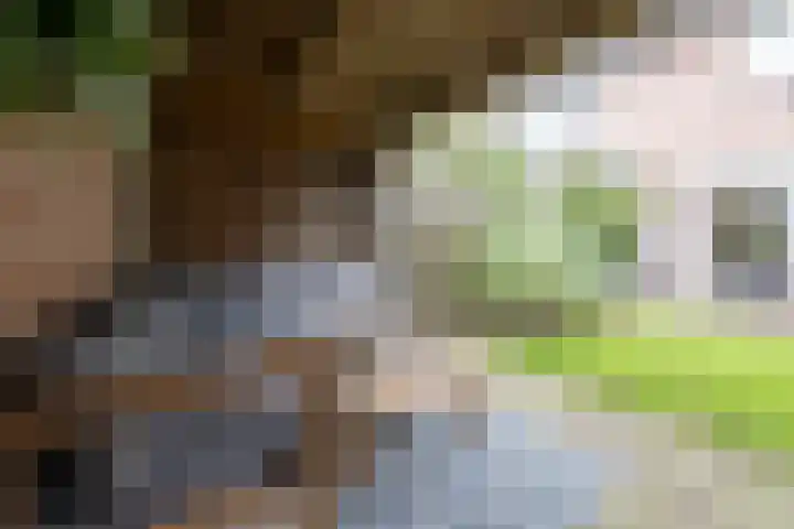 Woestijnenweg 9 Zwolle thumbnail 31