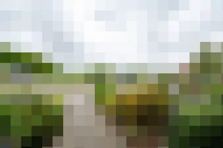 Woestijnenweg 9 Zwolle thumbnail 34