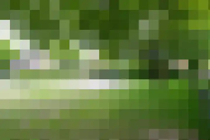 Woestijnenweg 9 Zwolle thumbnail 36