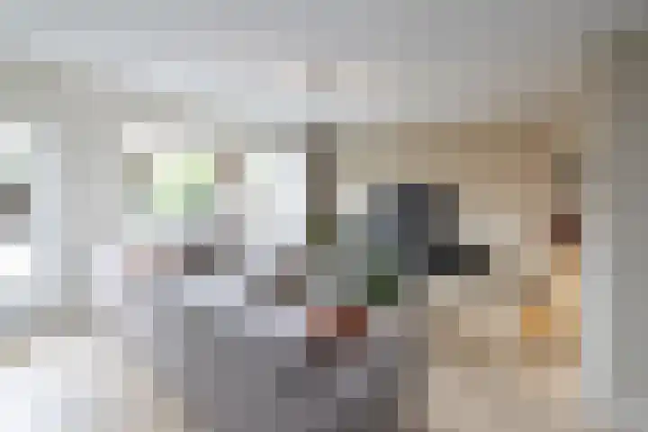 Woestijnenweg 9 Zwolle thumbnail 4