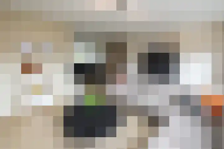 Woestijnenweg 9 Zwolle thumbnail 5