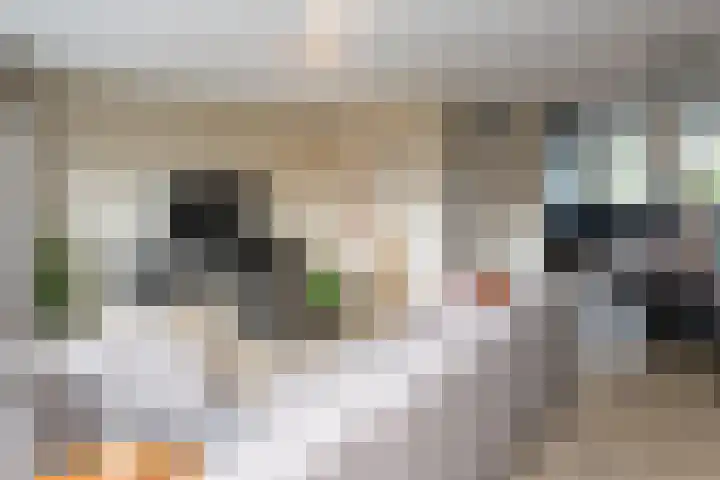Woestijnenweg 9 Zwolle thumbnail 6