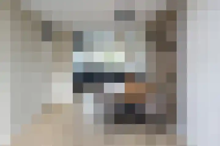 Woestijnenweg 9 Zwolle thumbnail 7