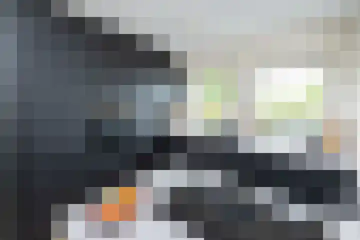Woestijnenweg 9 Zwolle thumbnail 9