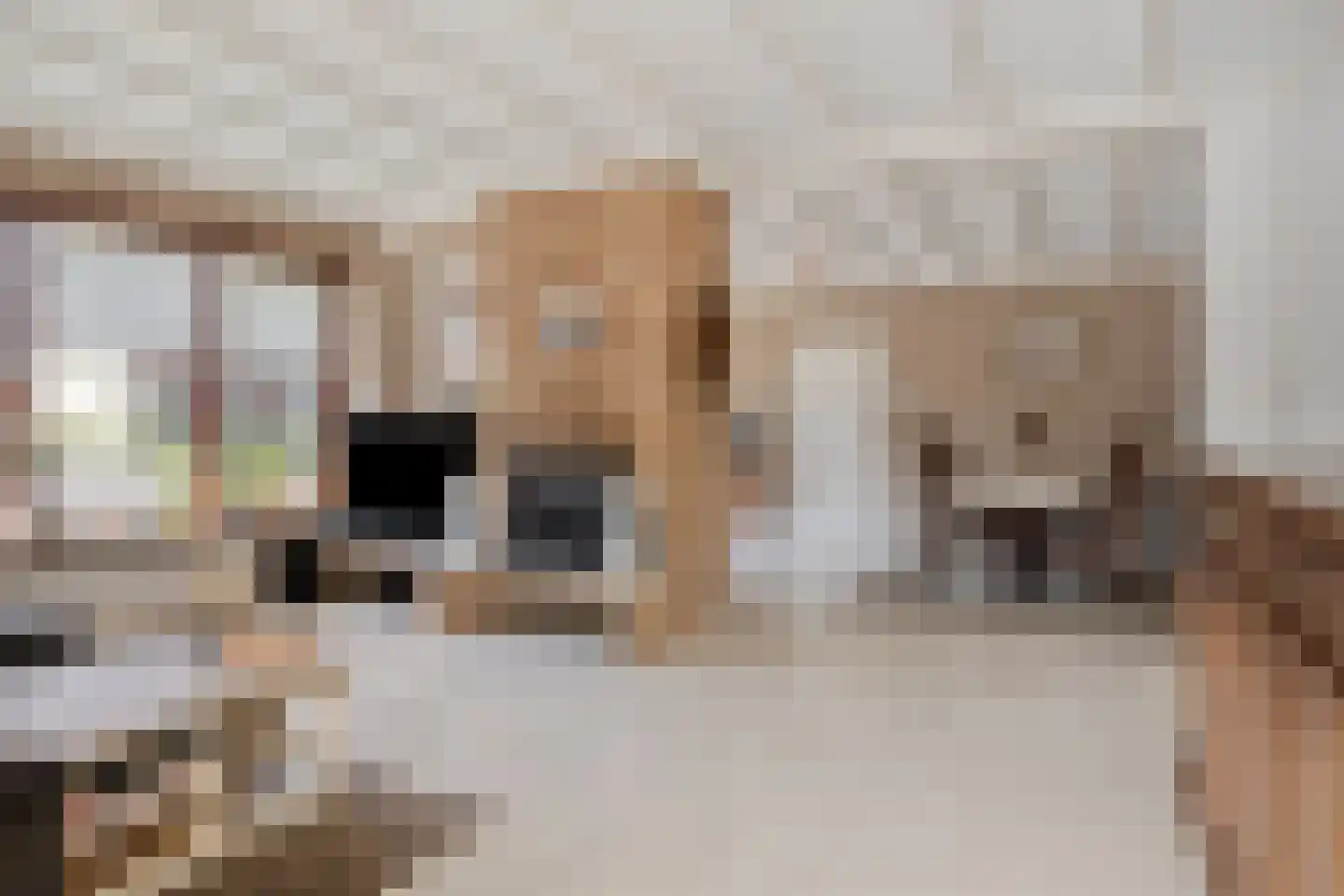 Woestijnestraat 1 Clinge thumbnail 12
