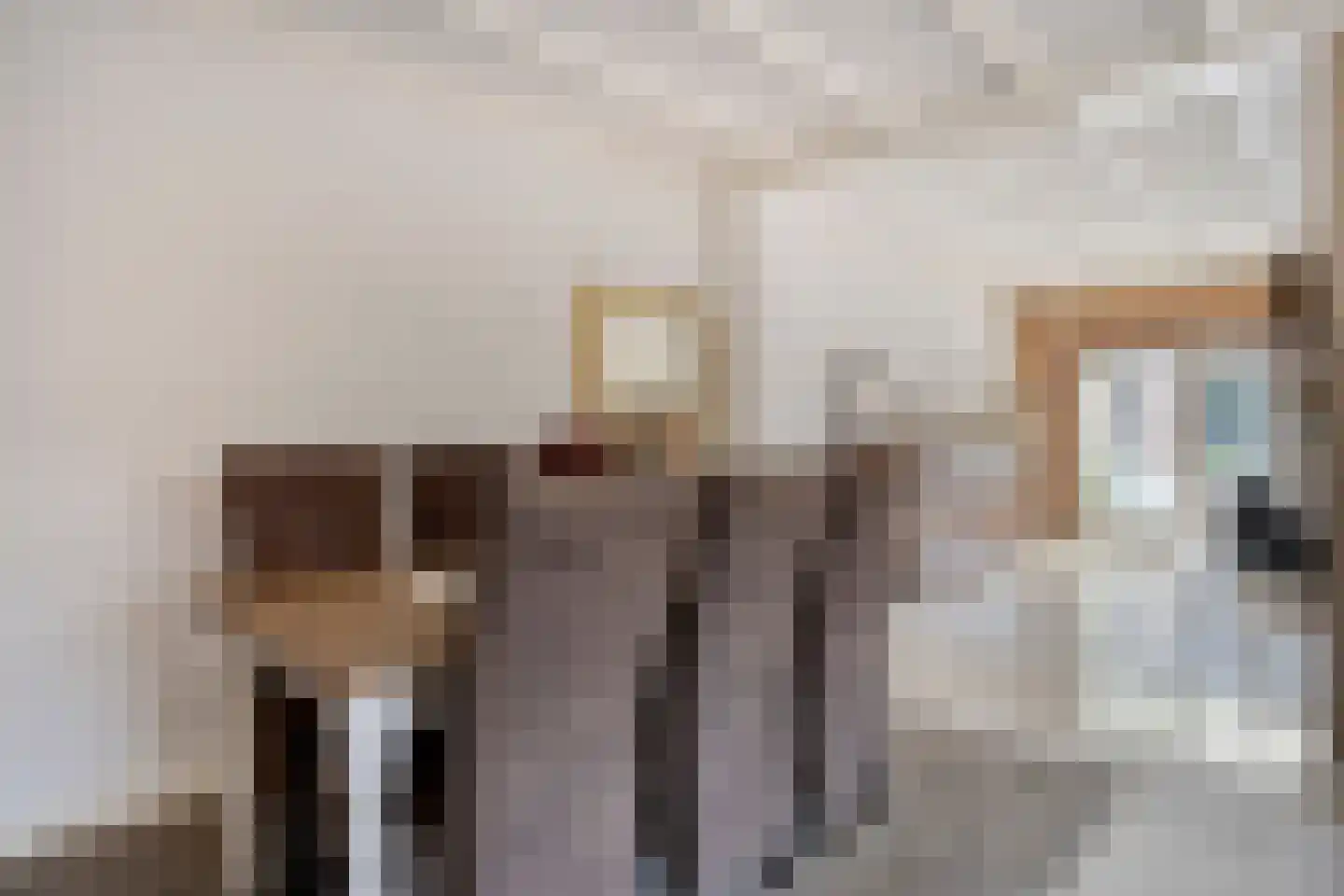 Woestijnestraat 1 Clinge thumbnail 13