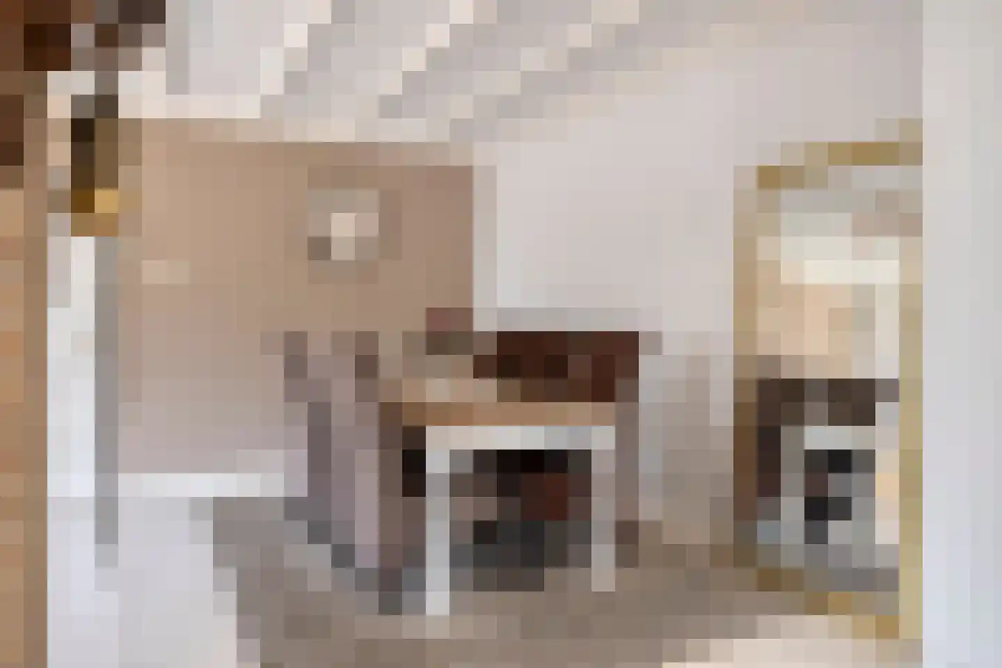 Woestijnestraat 1 Clinge thumbnail 14