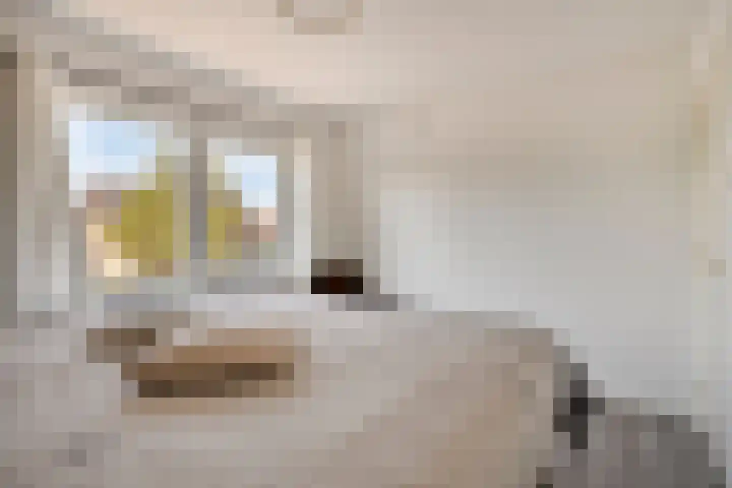 Woestijnestraat 1 Clinge thumbnail 26