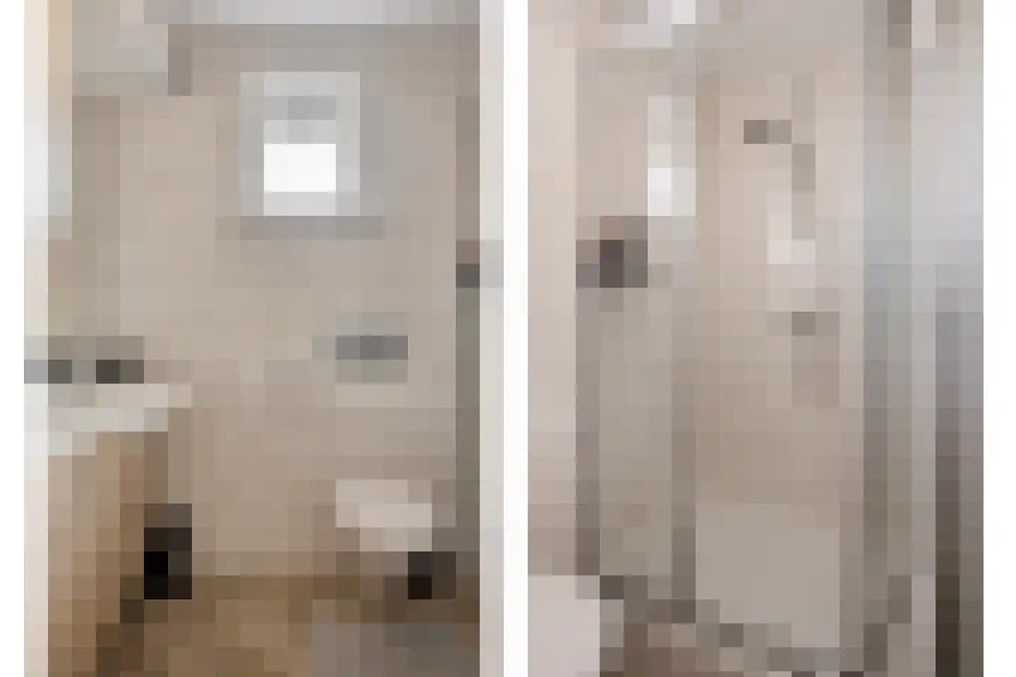 Woestijnestraat 1 Clinge thumbnail 27