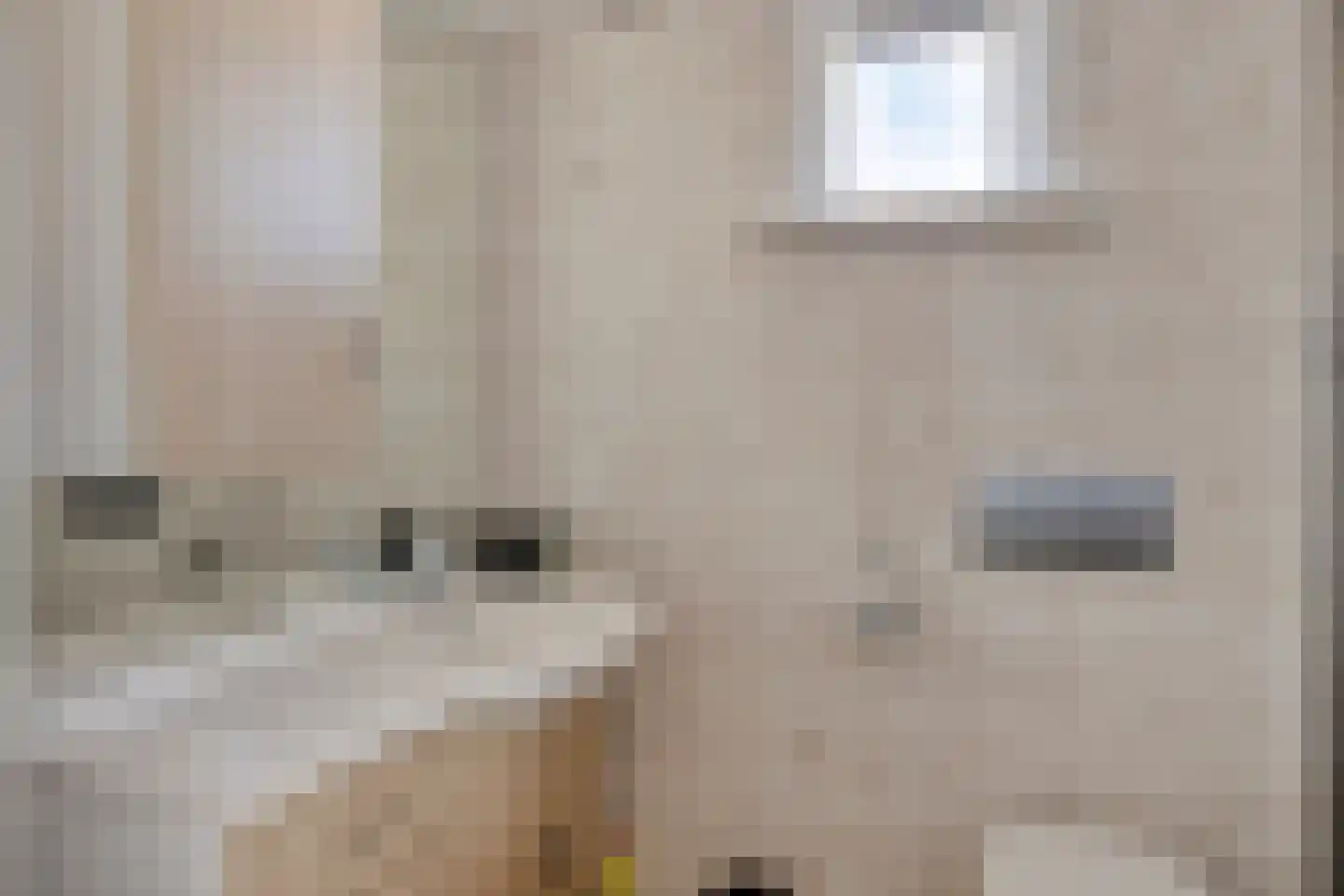 Woestijnestraat 1 Clinge thumbnail 28