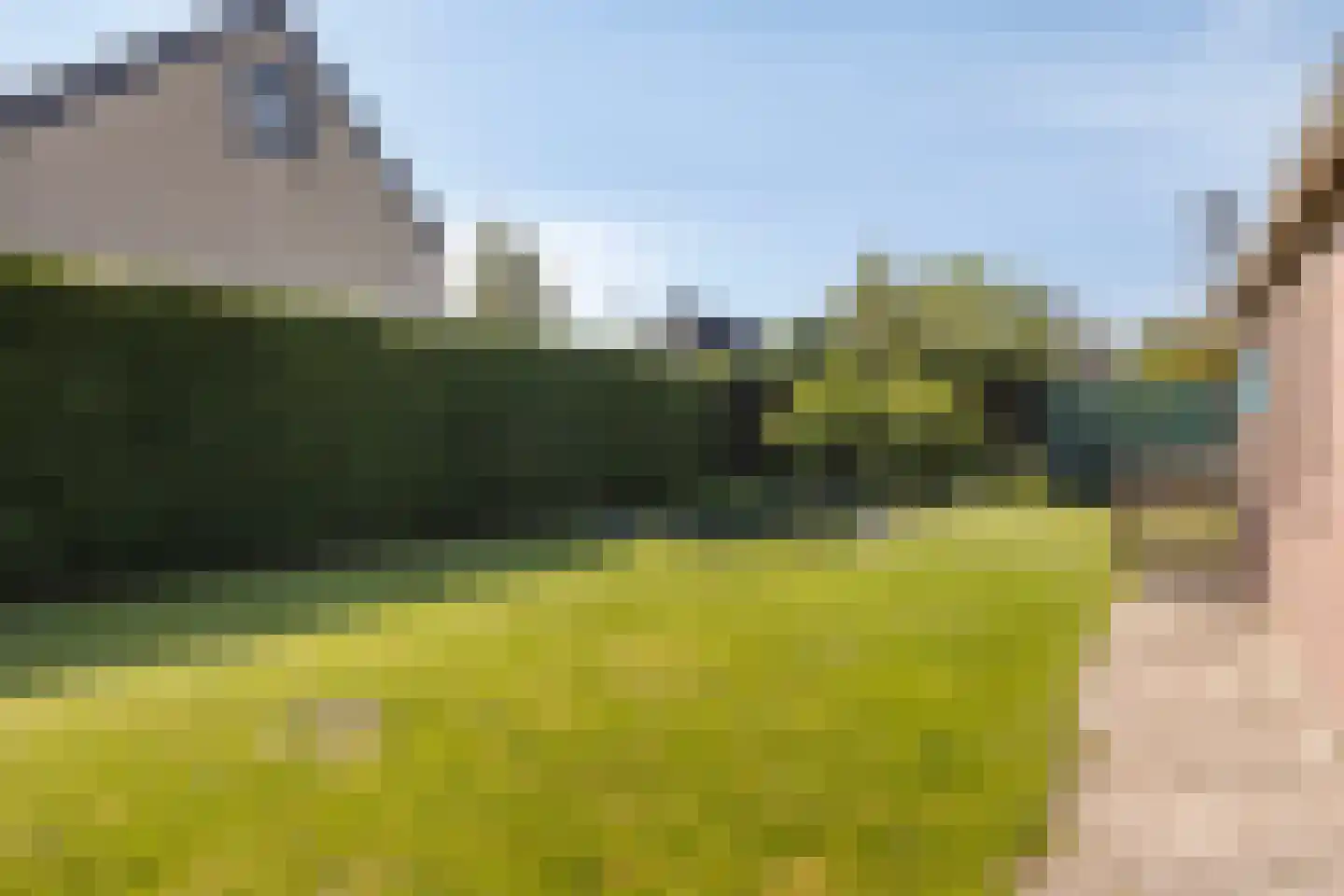 Woestijnestraat 1 Clinge thumbnail 36