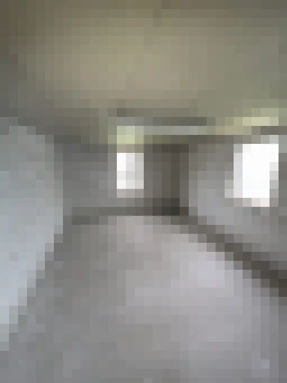 Woestijnestraat 1 Clinge thumbnail 37
