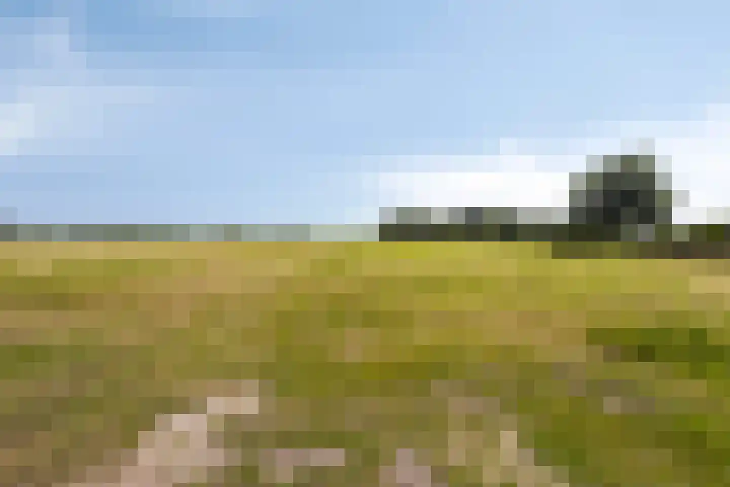 Woestijnestraat 1 Clinge thumbnail 39
