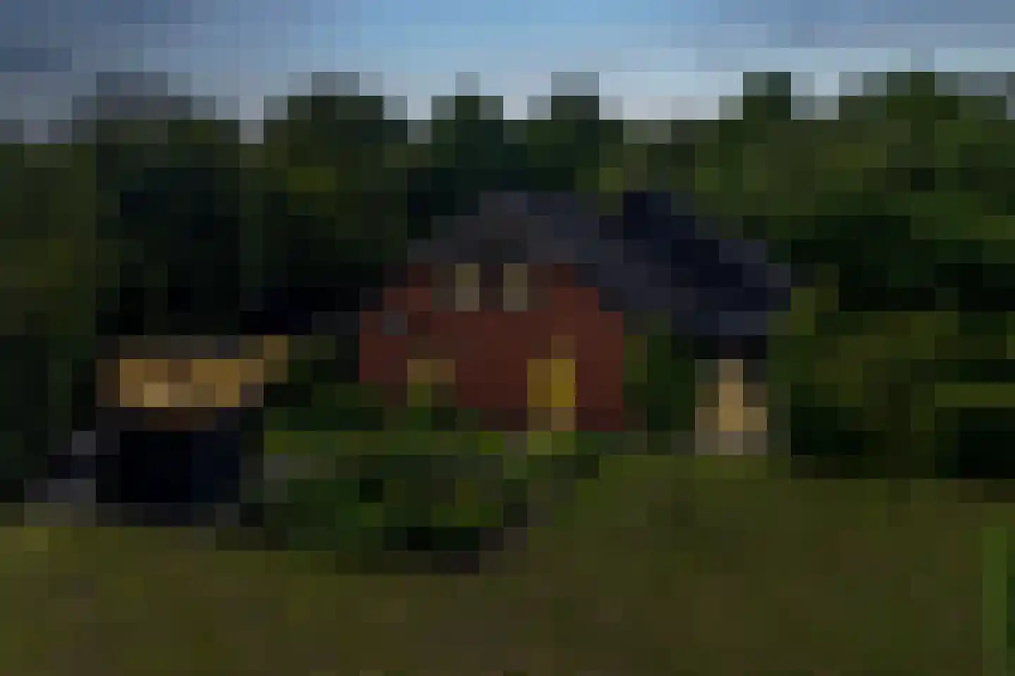 Woestijnestraat 3 Clinge thumbnail 11
