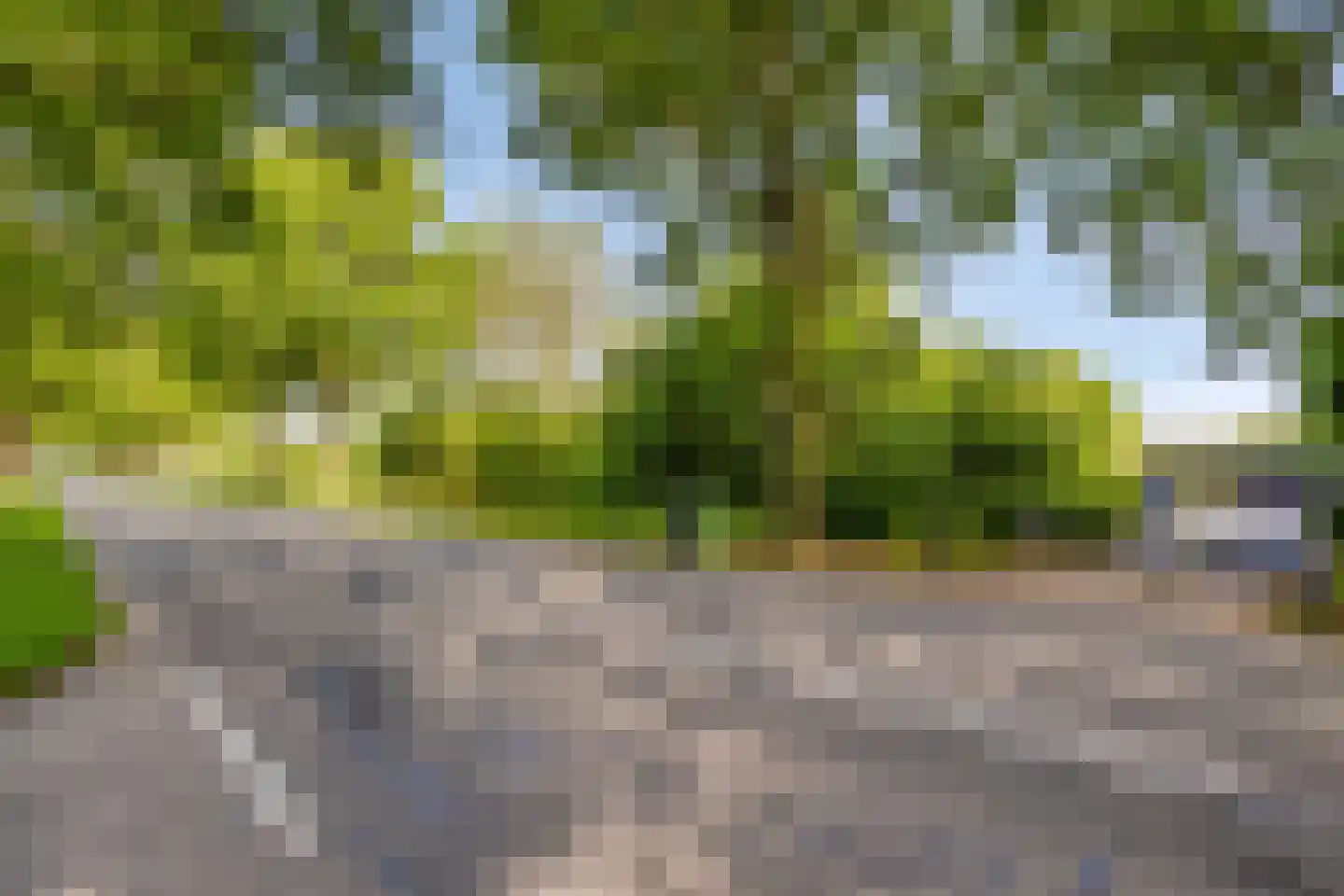 Woestijnestraat 3 Clinge thumbnail 12