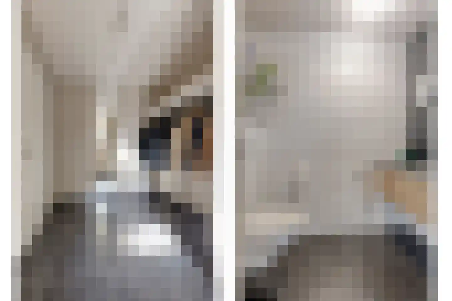 Woestijnestraat 3 Clinge thumbnail 18