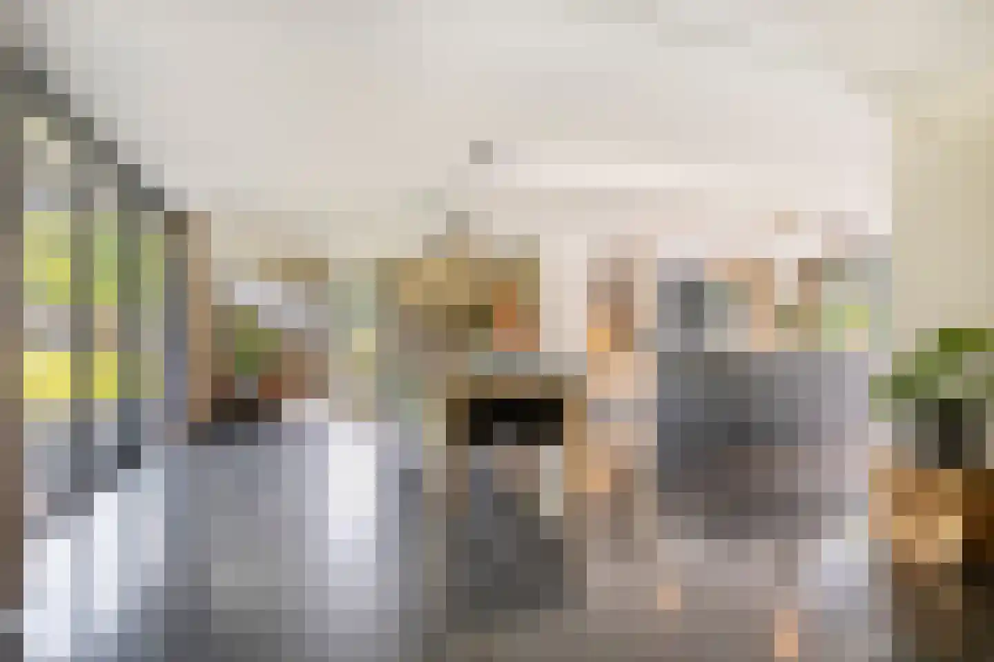 Woestijnestraat 3 Clinge thumbnail 24
