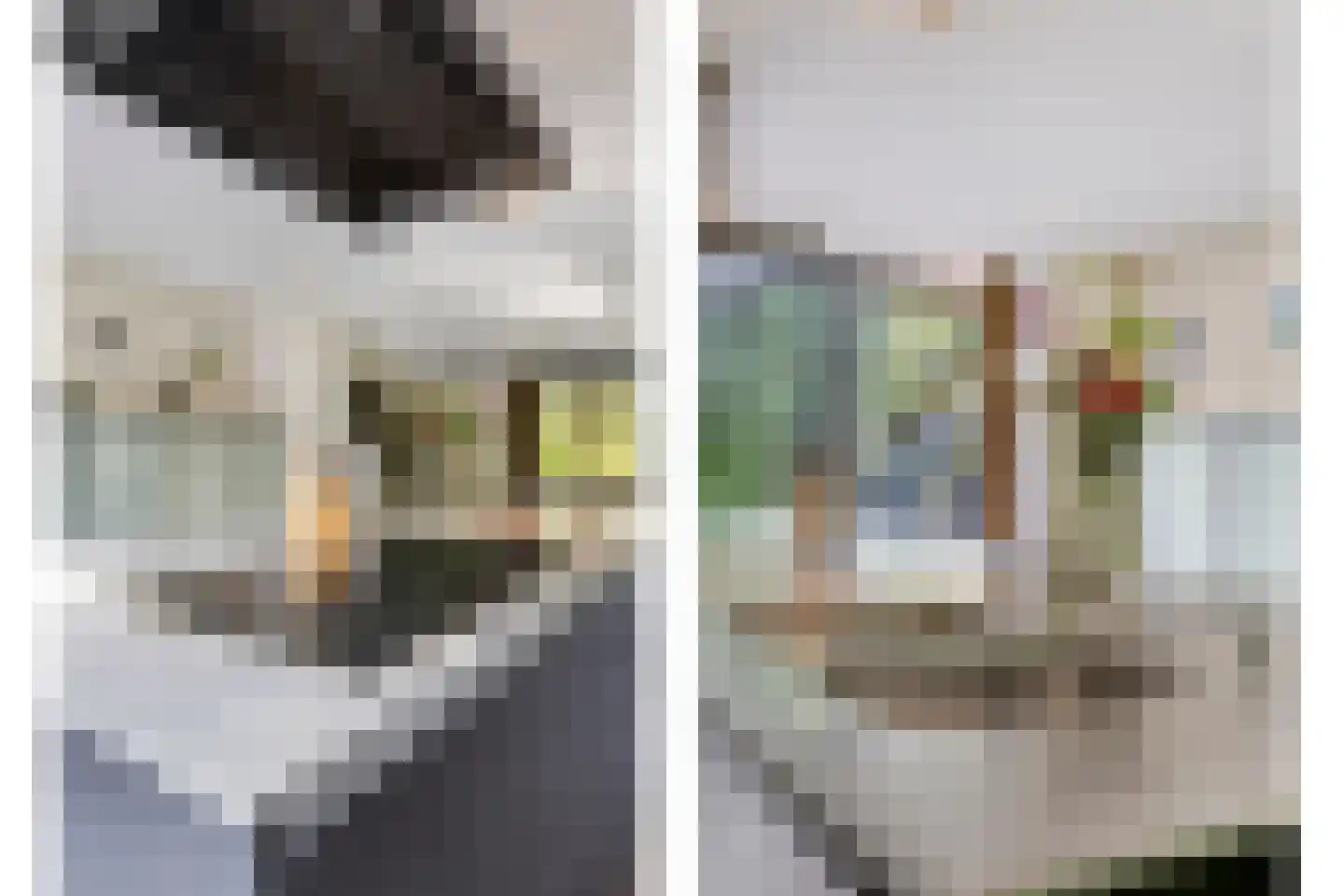 Woestijnestraat 3 Clinge thumbnail 33
