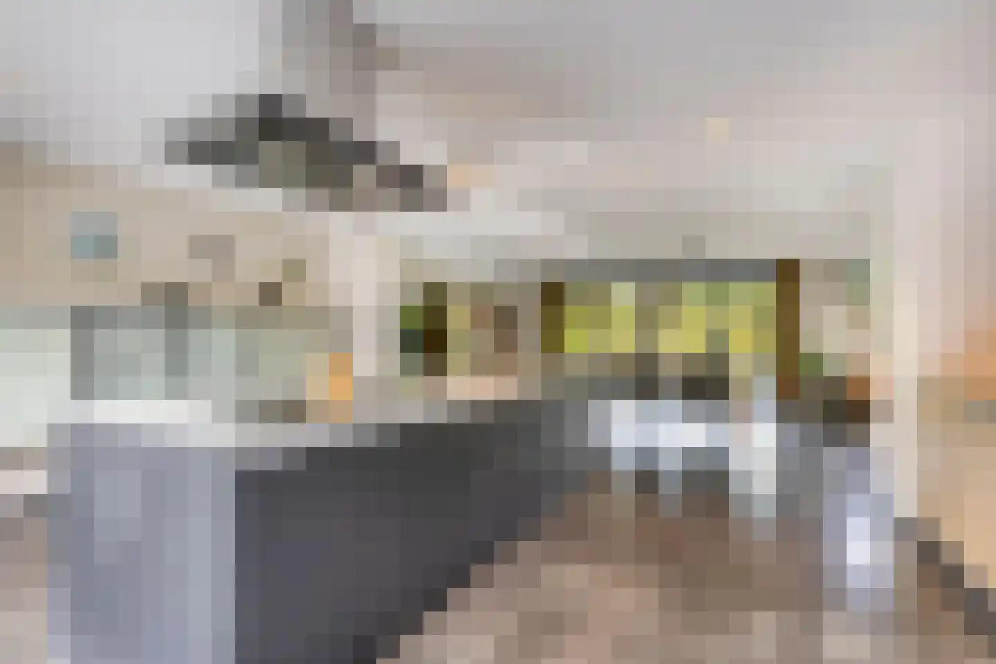 Woestijnestraat 3 Clinge thumbnail 34
