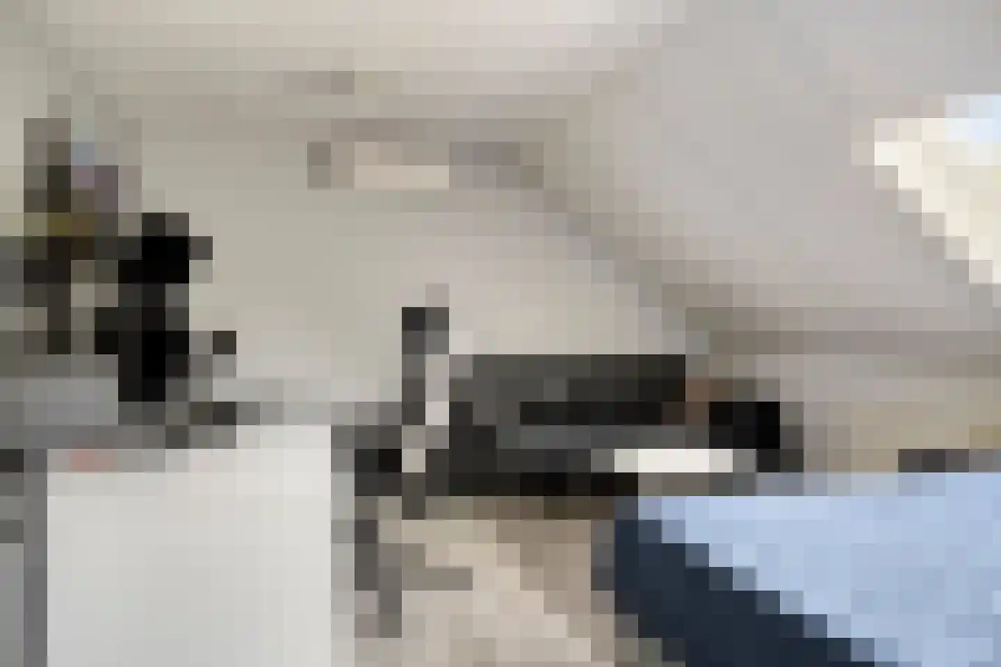 Woestijnestraat 3 Clinge thumbnail 46