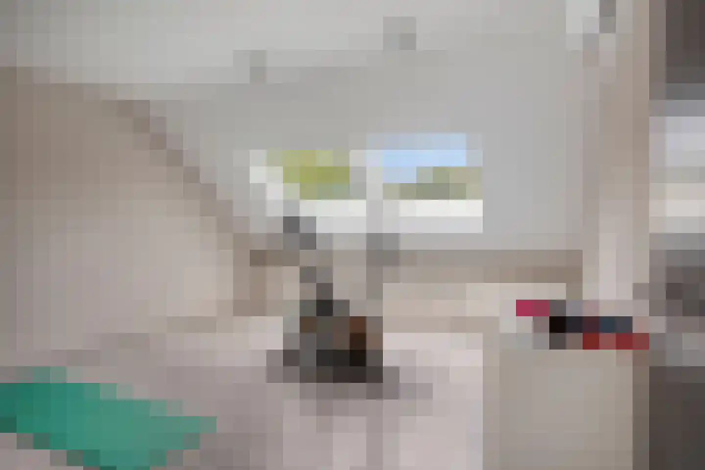Woestijnestraat 3 Clinge thumbnail 48