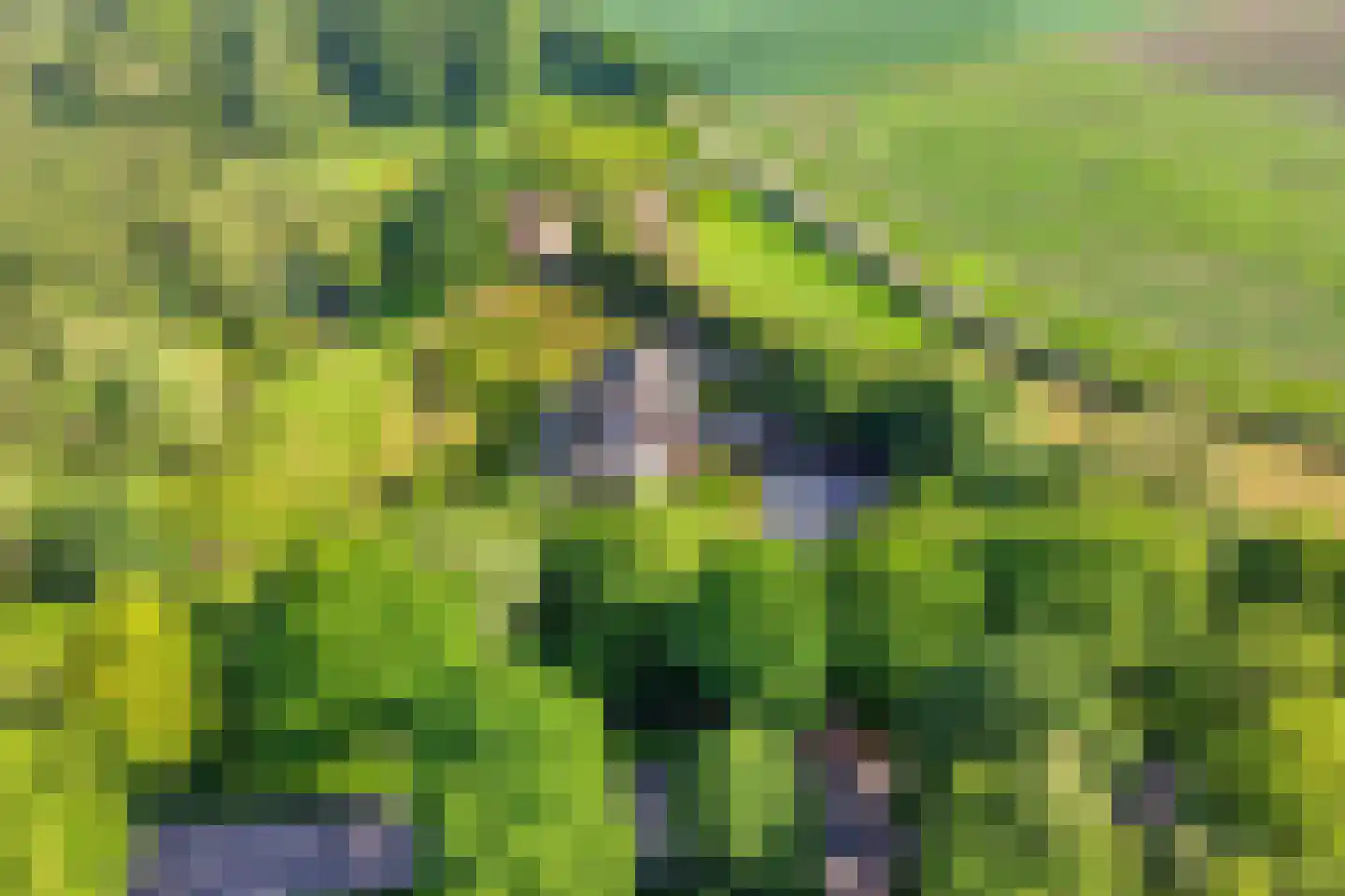 Woestijnestraat 3 Clinge thumbnail 5