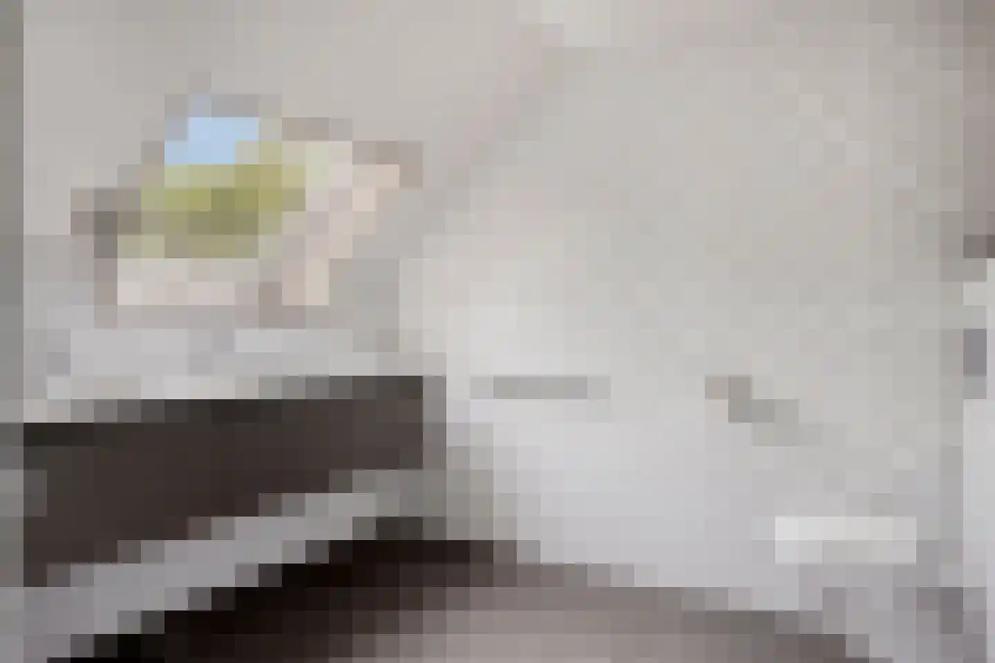 Woestijnestraat 3 Clinge thumbnail 52
