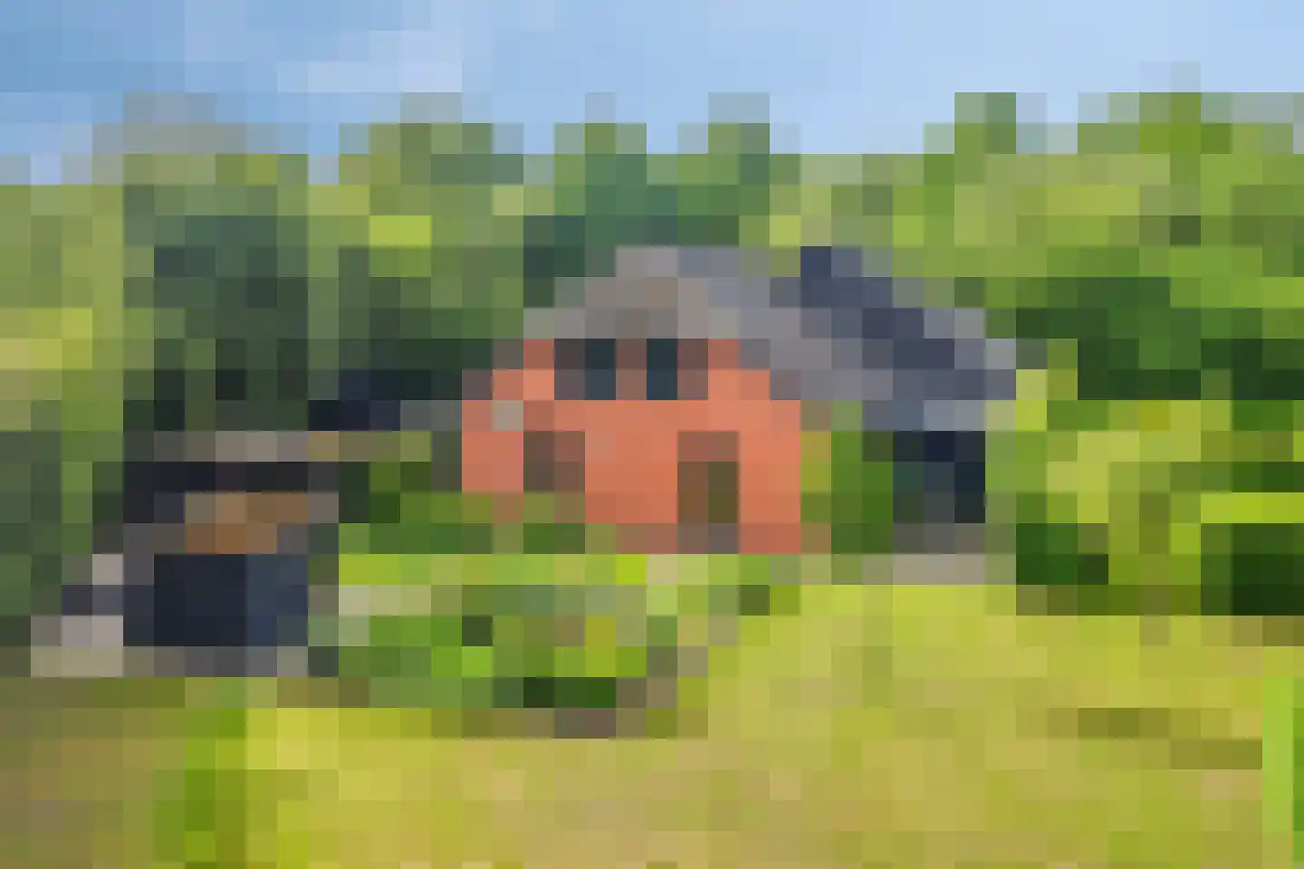 Woestijnestraat 3 Clinge thumbnail 56