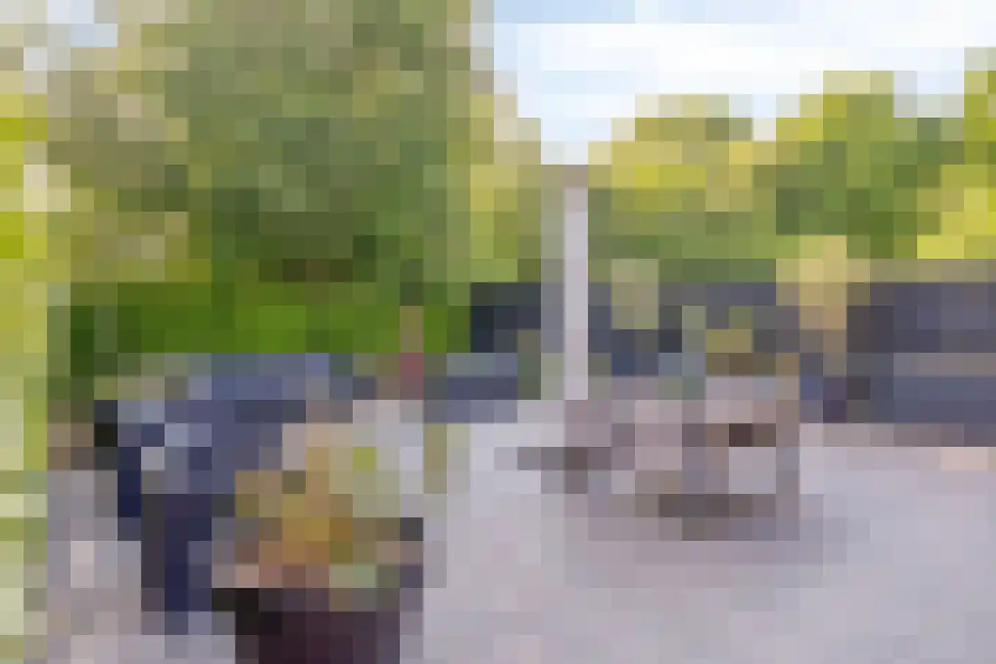 Woestijnestraat 3 Clinge thumbnail 58